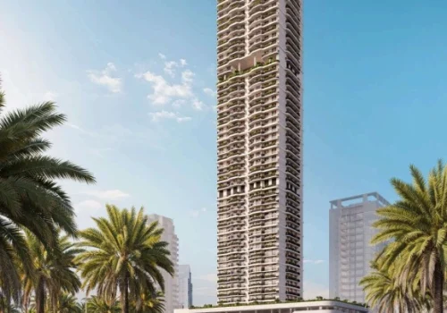 WhatsApp Image 2025-09-08 at 15.12.25